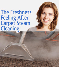 carpet steam cleaning services