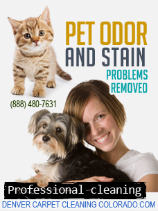 Denver Pet Stains Cleaning