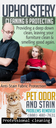 upholstery cleaning protectors