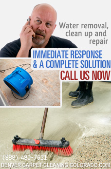 water damage restoration and extraction